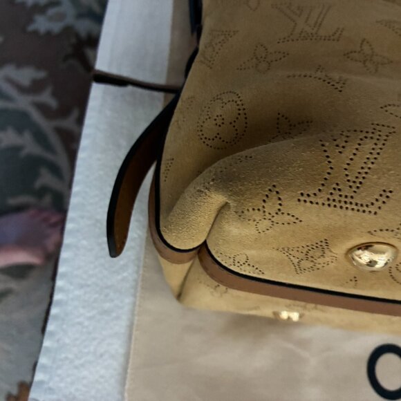 ADDITIONAL PHOTOS ONLY*******Louis Vuitton CarryAll PM in Mahina - Picture 5 of 12